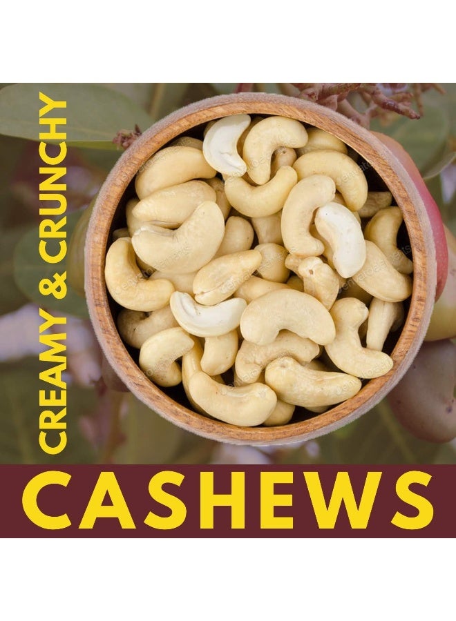 We Got Nuts Raw Whole Unsalted Cashews - 5 lbs.- Premium Quality Kosher Raw Cashews By We Got Nuts - Oil-Free Natural, Healthy & Diet-Friendly Snack - Gourmet Savory Flavor - Air-Tight Resealable Bag Package - Image 3